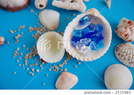 貝殼和星沙 2515963