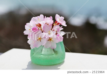 櫻花和大海 2515964