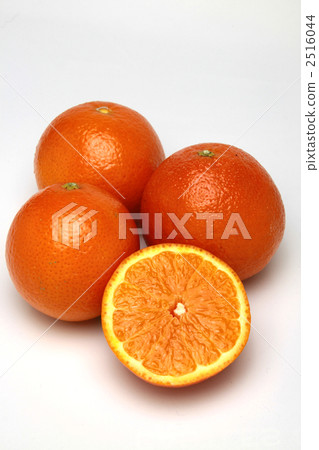 Mineola Orange 2516044