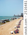 Resort area 2516481