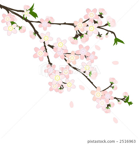 櫻花分公司01 2516963