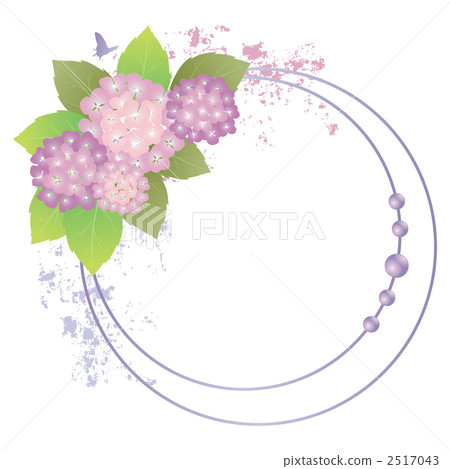 frame, hydrangea, background - Stock Illustration [2517043] - PIXTA