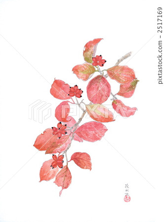 Flower tree - Dogwood - Flower tree - Dogwood - 2517169