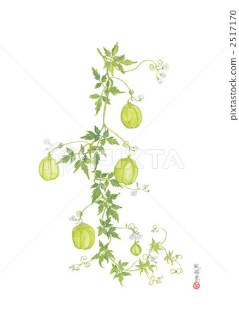 Balloon kudzu - Fu syun ku La - 2517170