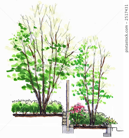 種植部分的草圖 2517431