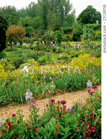 吉維尼的莫奈花園 2518056