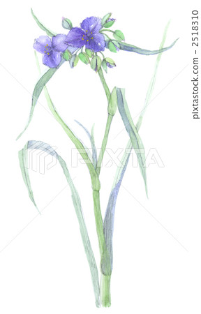 紫色煙灰 2518310