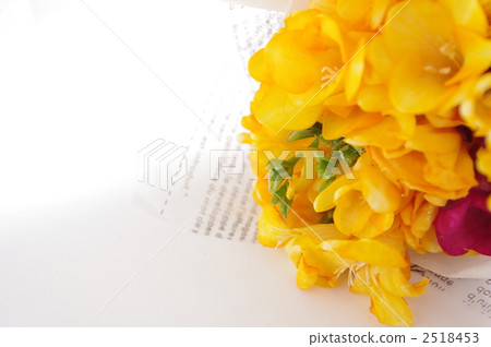 Freesia Freesia 2518453