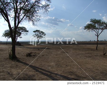 草地 草原 牧場 2519471