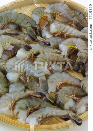 Shrimp 2519539
