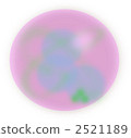 Pink ball 2521189
