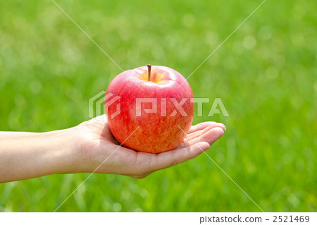 apple, apples, hand 2521469