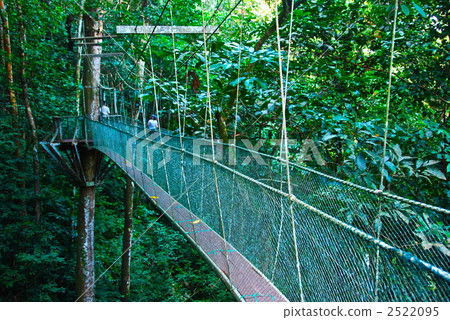 Tropical rain forest canopy walk (Gunung Mul National Park / East Malaysia / Borneo Island) Tropical rain forest canopy walk (Gunung Mul National Park / East Malaysia / Borneo Island) 2522095