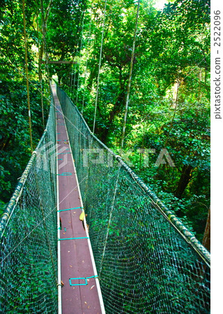 Tropical rain forest canopy walk (Gunung Mul National Park / East Malaysia / Borneo Island) 2522096