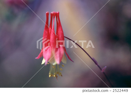 61130 Oedamaki 2522449