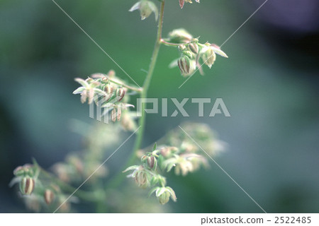 61162 Kanamura 2522485