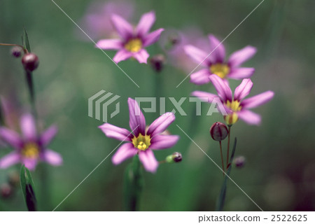 61254歡迎 61254歡迎 2522625