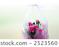 Carnation Mother's Day 2523560