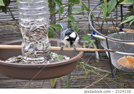 飼料站的Shikaen 2524130