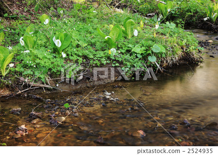 Togakushi water Basho 2524935