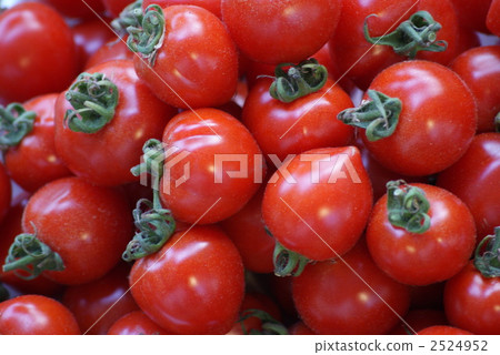 Mini Tomato Mini Tomato 2524952