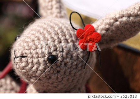 一隻兔子 2525018