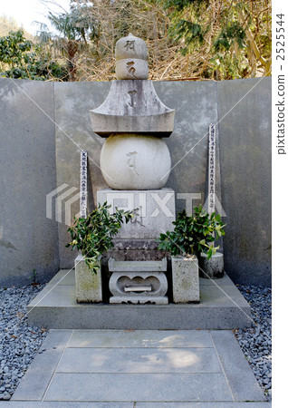 Tomba Kaneko的墳墓 2525544