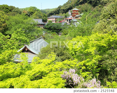“Shinyama / Asago-sunko Temple主殿的風景” “Shinyama / Asago-sunko Temple主殿的風景” 2525548