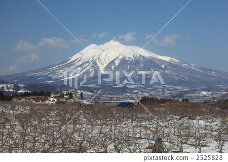 Apple farm and Iwakiyama Apple farm and Iwakiyama 2525828
