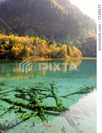 Jiuzhaigou Five Flower Sea in the fall 2526635