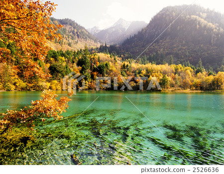 Jiuzhaigou Five Flower Sea in the fall 2526636