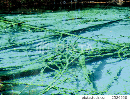 Jiuzhaigou Five Flower Sea in the fall 2526638