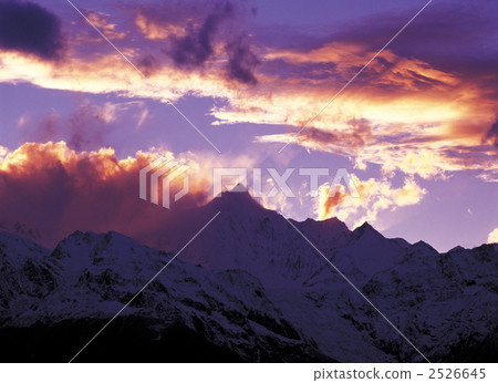 Umesato Yukiyama Yuyama Umesato Yukiyama Yuyama 2526645