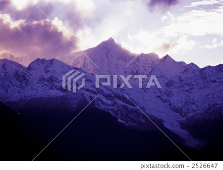 Umesato Yukiyama Yuyama Umesato Yukiyama Yuyama 2526647