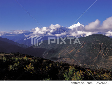 Umesato Yukiyama Yuyama 2526649