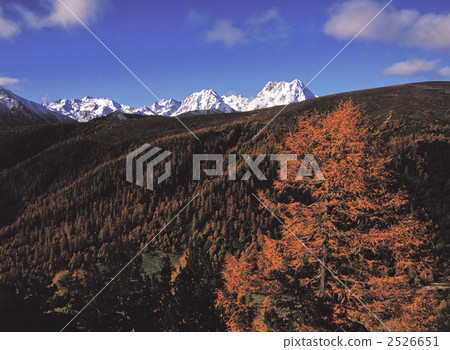 White boy snowy mountain 2526651