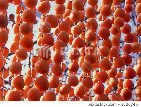 Dried persimmon 2526746