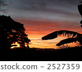 斐濟的晨光 2527359