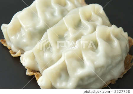 Gyoza Gyoza 2527738