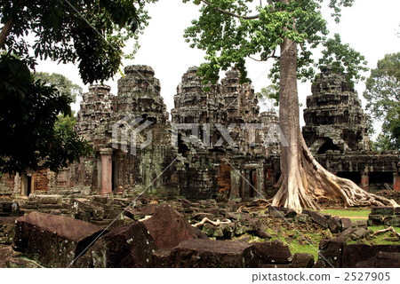 Ta Prom temple where bamboo tree and masonry of Angkor remains Ta Prom temple where bamboo tree and masonry of Angkor remains 2527905
