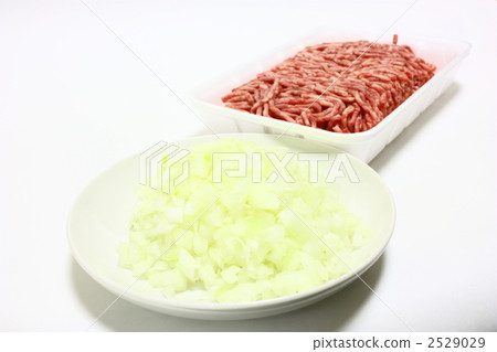 雞肉洋蔥和肉末 雞肉洋蔥和肉末 2529029