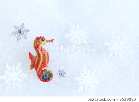 Dragon · seahorse and snowflake 01 2529050