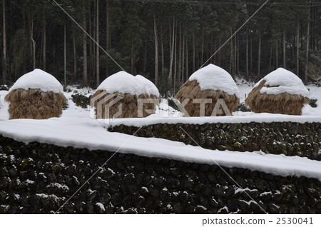 Straw Kozumi 2530041