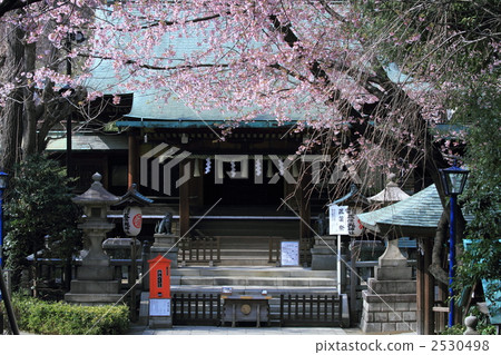 Gojo Tenjin(東京·上野公園) Gojo Tenjin(東京·上野公園) 2530498