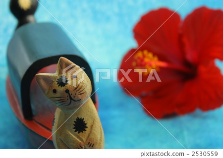 巴厘島公司 2530559