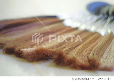 color ring, hair colourants, hair colorants 2530918