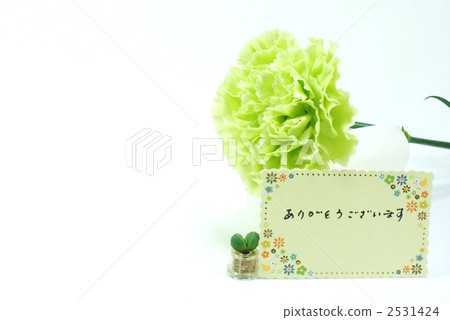 母親節 謝謝 感激 2531424