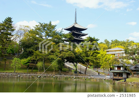 世界遺產·奈良·興福寺 2531985