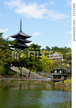 世界遺產·奈良·興福寺 2531986