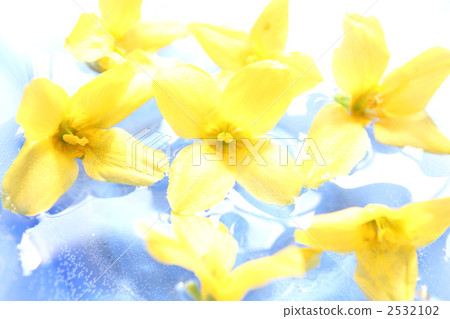 In the soft light ... 2532102